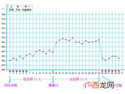 怎么算排卵期最准确,排卵期具体怎么算才准确？