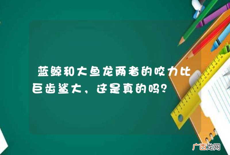 蓝鲸和大鱼龙两者的咬力比巨齿鲨大，这是真的吗？