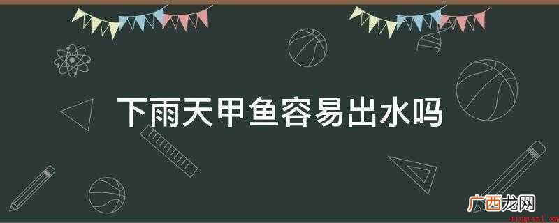下雨天甲鱼容易出水吗