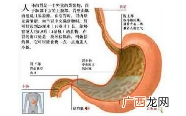 胃不好不能吃什么,胃不好的人一点甜食都不能吃吗？