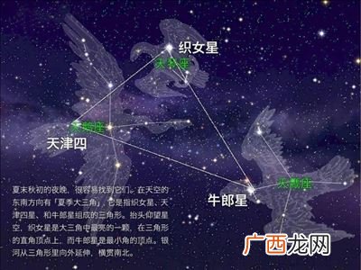 牛郎星和织女星真能相会吗,织女星离地球多远？