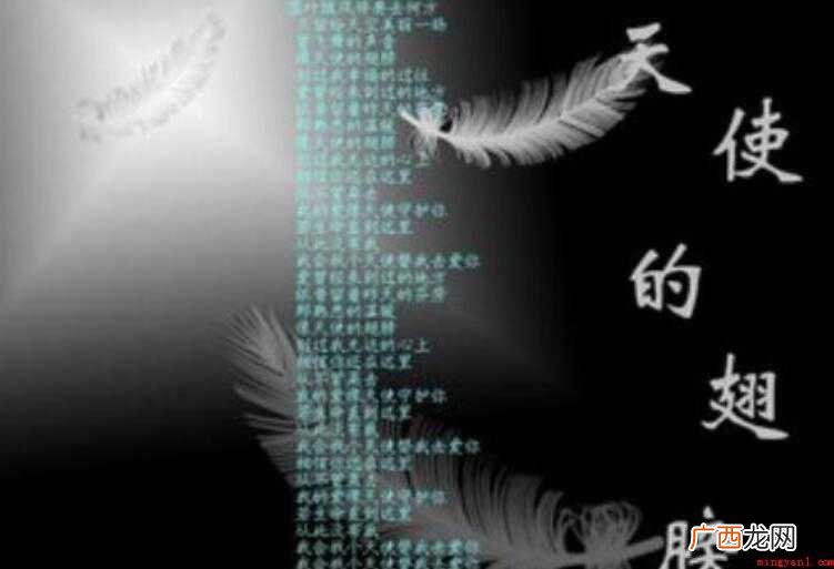 天使的翅膀的歌词是什么 《天使的翅膀》的歌词是什么
