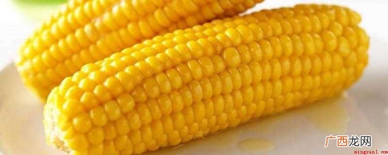 玉米是高纤维食物吗