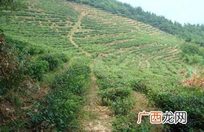 1亩地是多少平方米,一亩地是多少米,多长多宽？