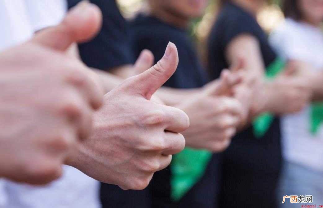中班科学活动教案范文有哪些