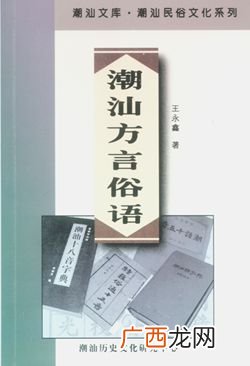 广东省潮汕方言属于哪种方言,潮汕哪个族?