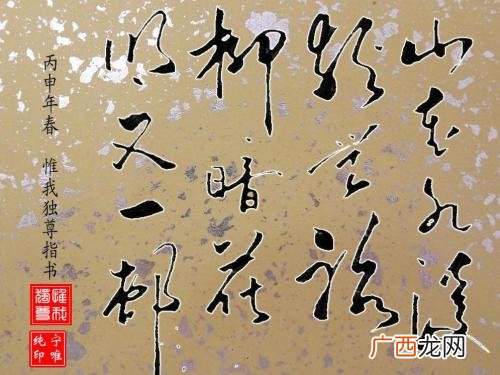 山重水复疑无路的疑什么意思,山重水复疑无路的复是什么意思？