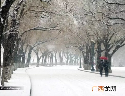 上海会下雪吗,上海一般下雪几次？