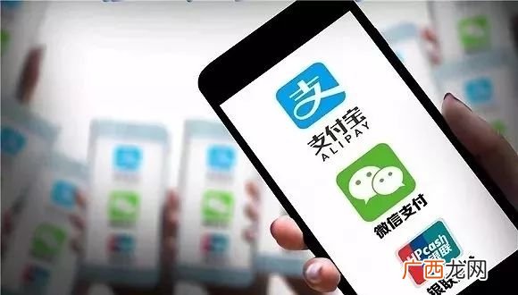 支付公司是做什么的,支付公司如何接入支付宝？