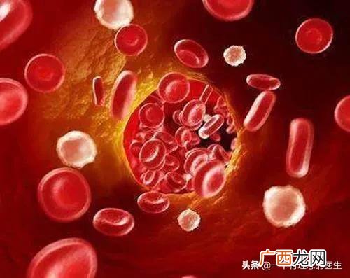正常人体内有多少血液,人体总血量是多少？