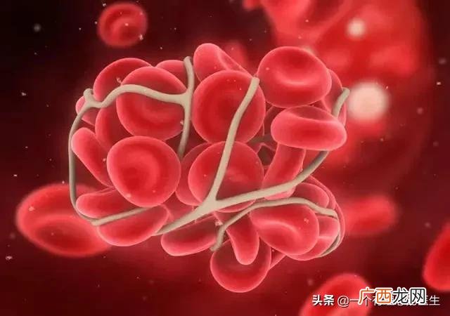 正常人体内有多少血液,人体总血量是多少？