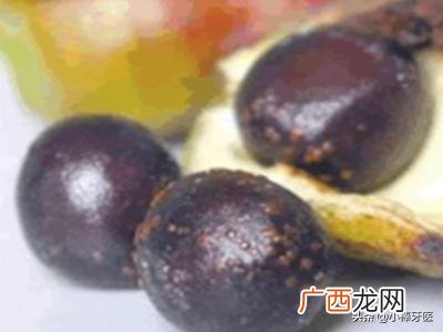 牡丹花籽如何种植,牡丹种子怎么种植？