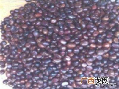 牡丹花籽如何种植,牡丹种子怎么种植？
