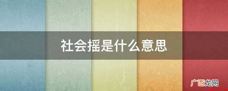 社会摇是什么意思