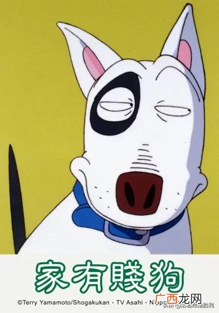 家有贱狗里的狗是什么品种,谁知道有一部动画片，里面有一只黑眼圈的狗，然后还有他的同伴，去世界各地拿金牌，后面那里好像还有个黑衣人什么的，是2008年出的？