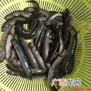 泥鳅钻豆腐怎样做