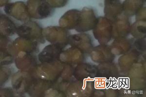 香辣螺丝怎么做,麻辣螺丝怎么做？