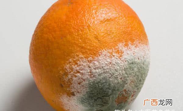 水果腐烂后会产生什么物质,为什么苹果坏了会生虫子？