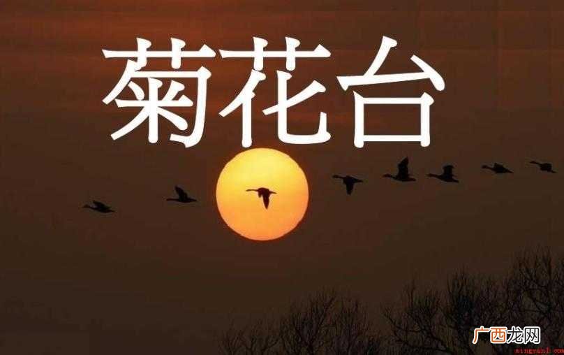 《菊花台》歌词是什么