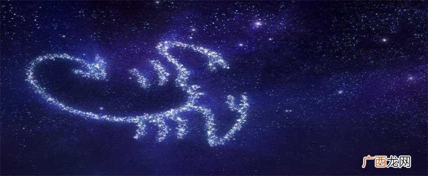 十二星座谁最聪明 12星座谁最聪明