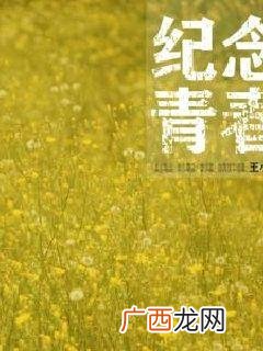 怀念啊我们的青春啊是什么歌,再见吧我们的青春啊是什么歌？