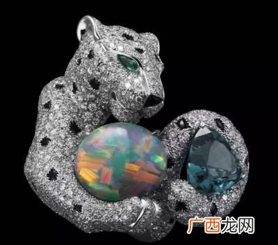 蛋白石为什么贵,世界十大最贵化石？