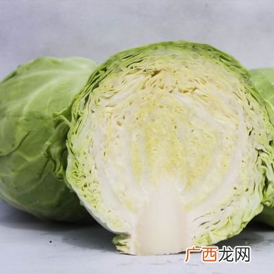 洋白菜是什么菜,包菜方言是什么意思？