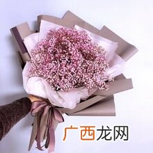 满天星代表的是什么含义,一什么满天星？