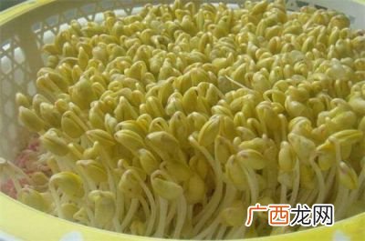 黄豆芽发芽的全过程,黄豆变黄豆芽的过程？