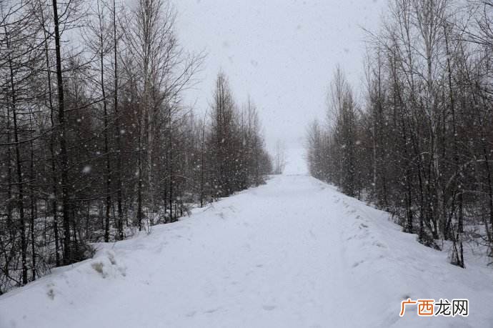 鹅毛雪是什么意思,雪成语有哪些?