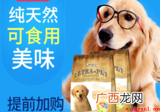建立宠物食品安全标准有必要吗 如何保证宠物食品安全