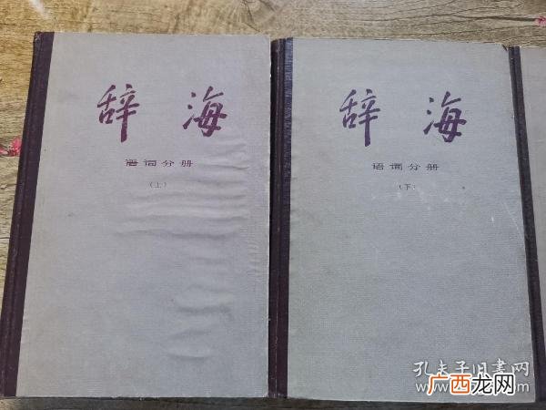 驮能组什么词,驮和驼的区别？
