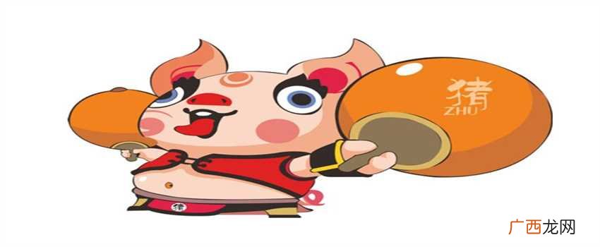 属猪的人是不是真的很笨 属猪的都很笨吗