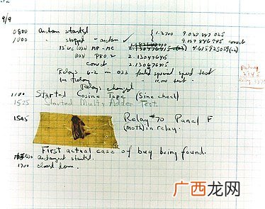 bug是什么梗,18岁程序员什么梗？