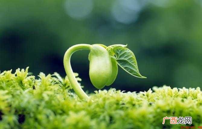 留心的近义词是什么