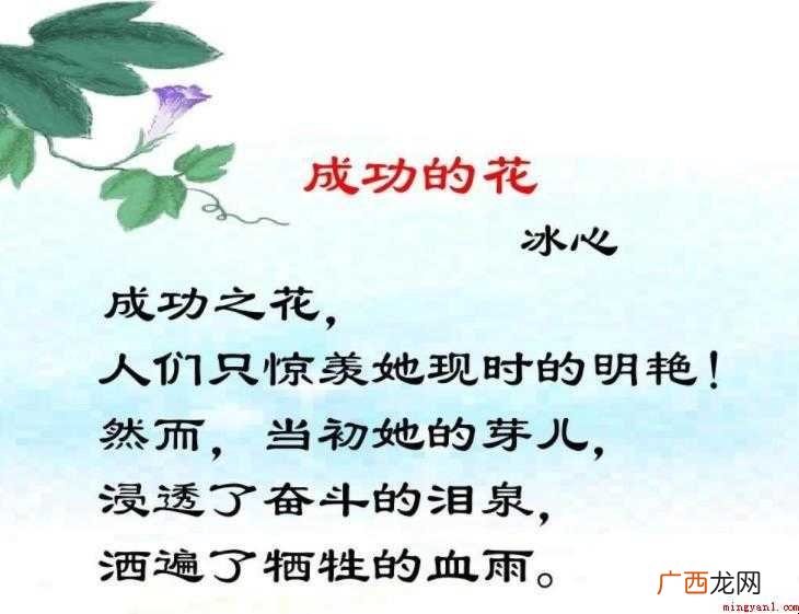 冰心《成功的花》原文是什么