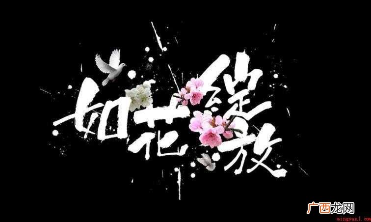 绽放的意思是什么