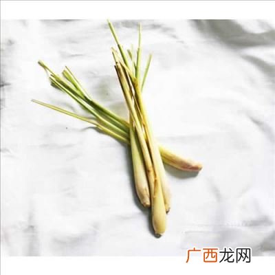 香茅是什么味道,香叶和香茅草有什么区别？