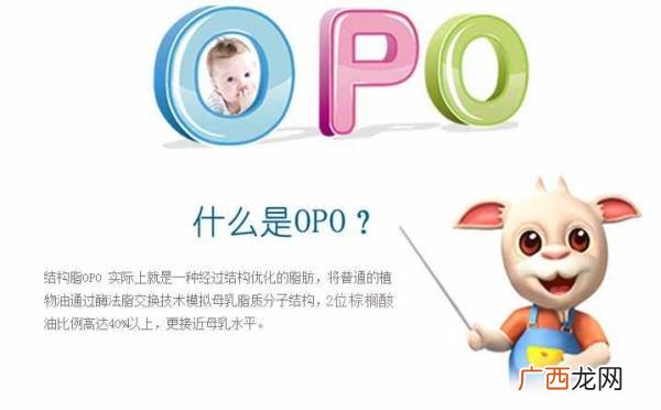 opo是什么,opo岗位是什么？