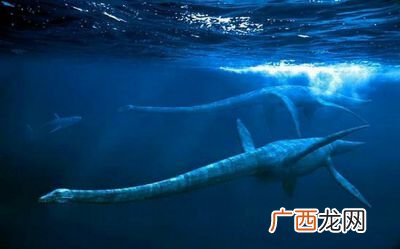 蛇颈龙的特点,长脖子的恐龙叫什么名字？