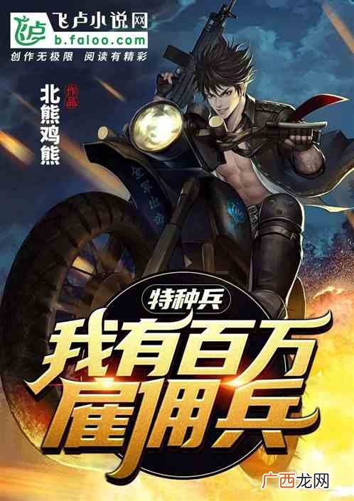 关于国外的雇佣兵小说,跪求好看的雇佣兵小说？