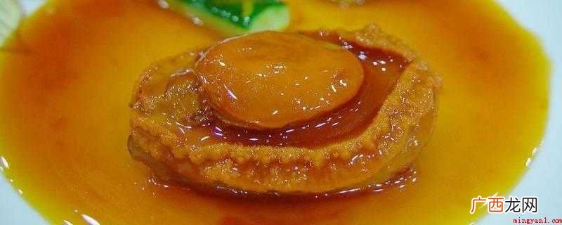 鲍鱼用什么呼吸