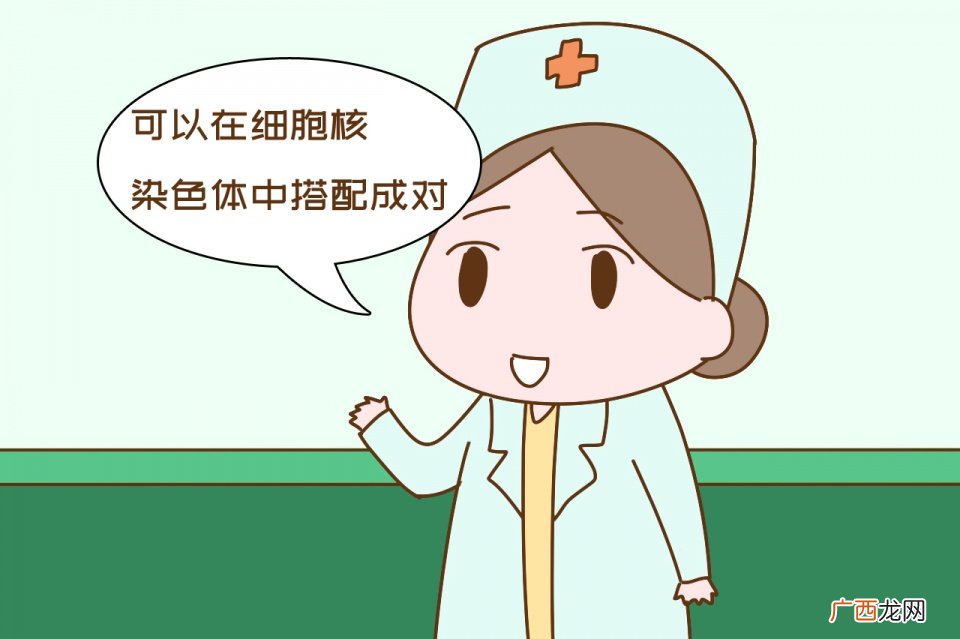 0型血有什么坏处,o型血的缺点和优点？