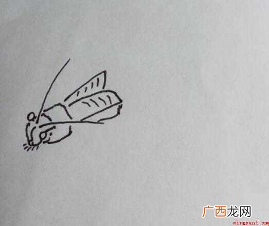 怎样画简笔画“蝈蝈” 怎样画简笔画蝈蝈