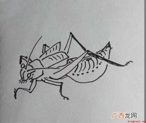 怎样画简笔画“蝈蝈” 怎样画简笔画蝈蝈