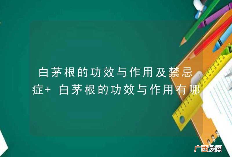白茅根的功效与作用及禁忌症 白茅根的功效与作用有哪些