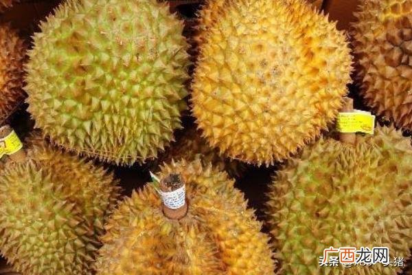 榴莲为什么那么贵,榴莲为什么那么贵？