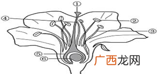 示意图怎么画,画示意图是什么意思？