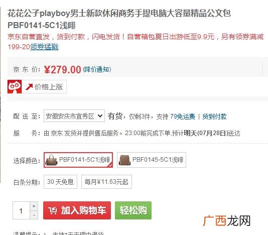 京东白条是什么意思安全吗,京东白条是干什么用的，开通了有什么影响吗？