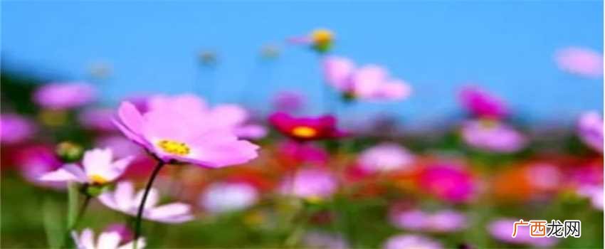 梦见花圈是什么意思 梦中看见送人花圈是什么意思